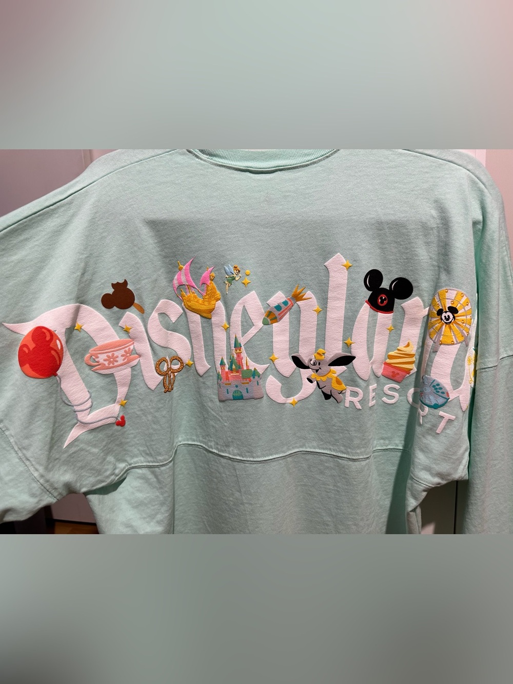 Disneyland Bundle (Spirit Jersey and Shirt) - Picture 6 of 9